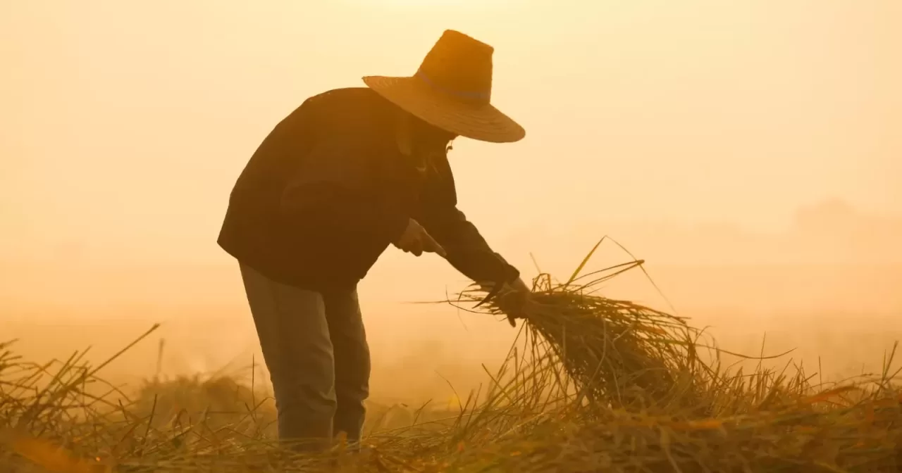 Dia-Nacional-do-Trabalhador-Rural-Juazeiro-do-Norte-realiza-5a-Festa-do-Agricultor--aspect-ratio-40-21