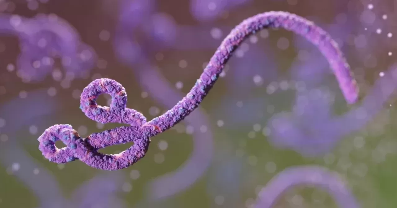 EBOLA-aspect-ratio-40-21