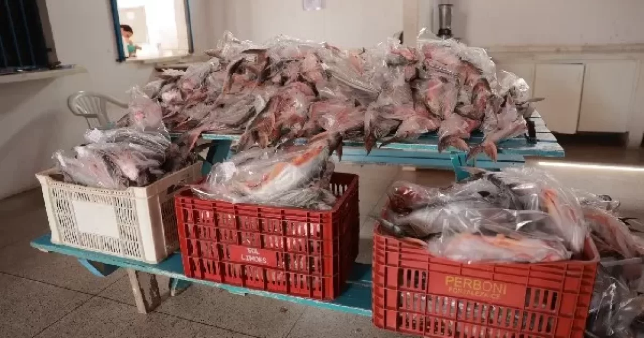 Foto: Divulgação Prefeitura Juazeiro do Norte