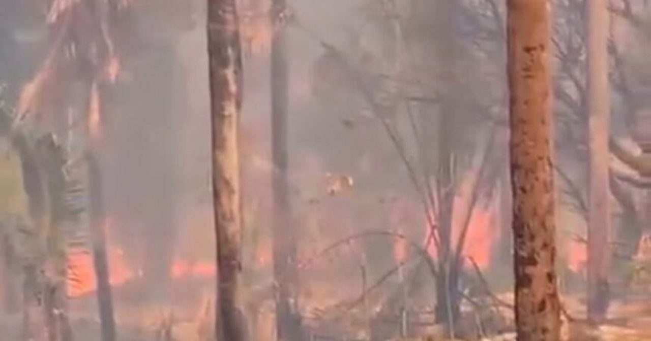 Imagem-do-WhatsApp-de-2025-11-25-as-08.48.20_c7af57ff-860×603-1-aspect-ratio-40-21 Imagem-do-WhatsApp-de-2025-11-25-as-08.48.20_c7af57ff-860x603-1-aspect-ratio-40-21