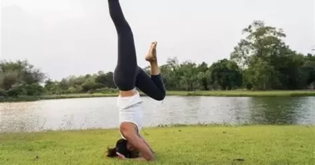 OIP-5-aspect-ratio-40-21