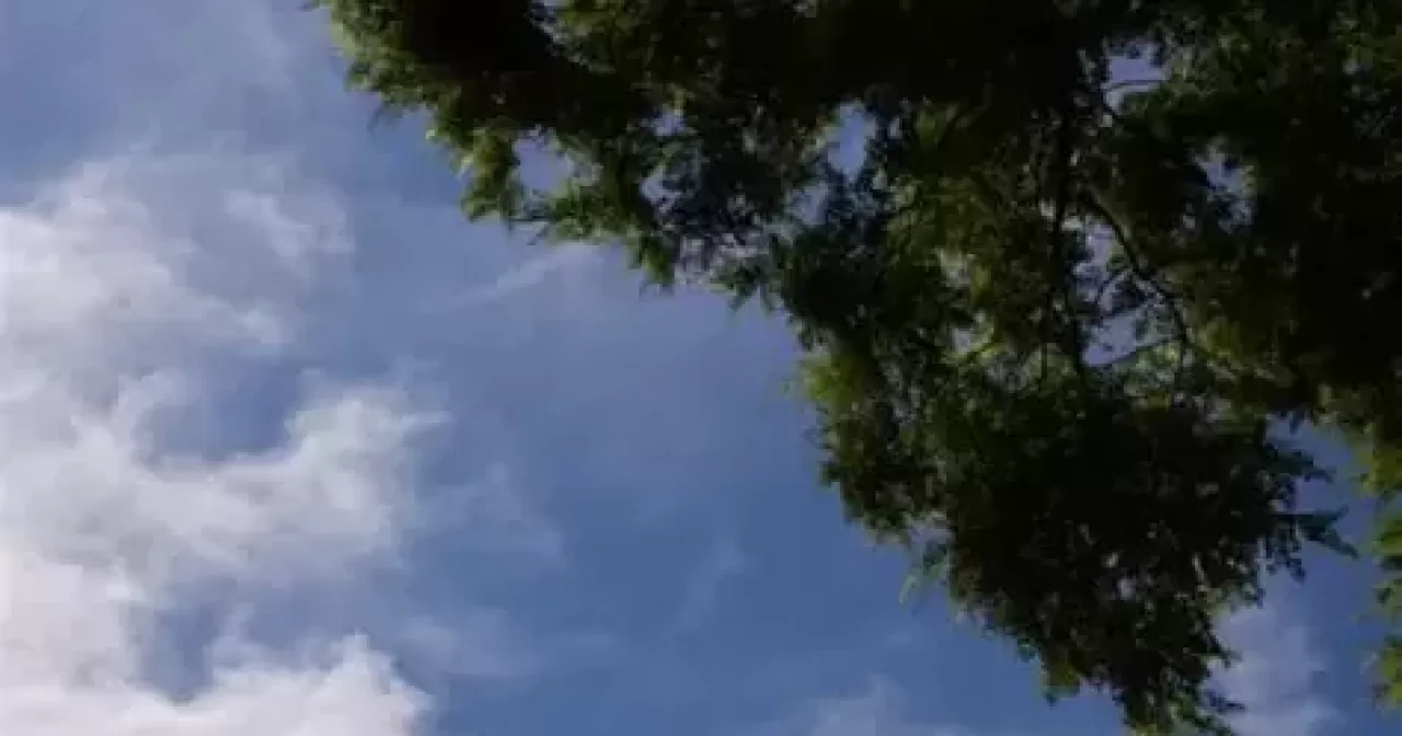 OIP-7-aspect-ratio-40-21