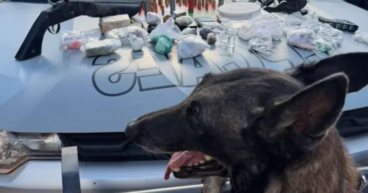 Policia-Militar-realiza-apreensao-armas-drogas-e-municoes-durante-acao-em-Crato-aspect-ratio-40-21