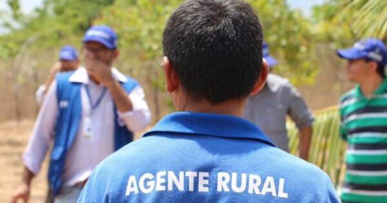 Projeto-Mandallas-e-Programa-Agente-Rural-recebem-visita-tecnica-da-Seplag2-600x400-1-aspect-ratio-40-21