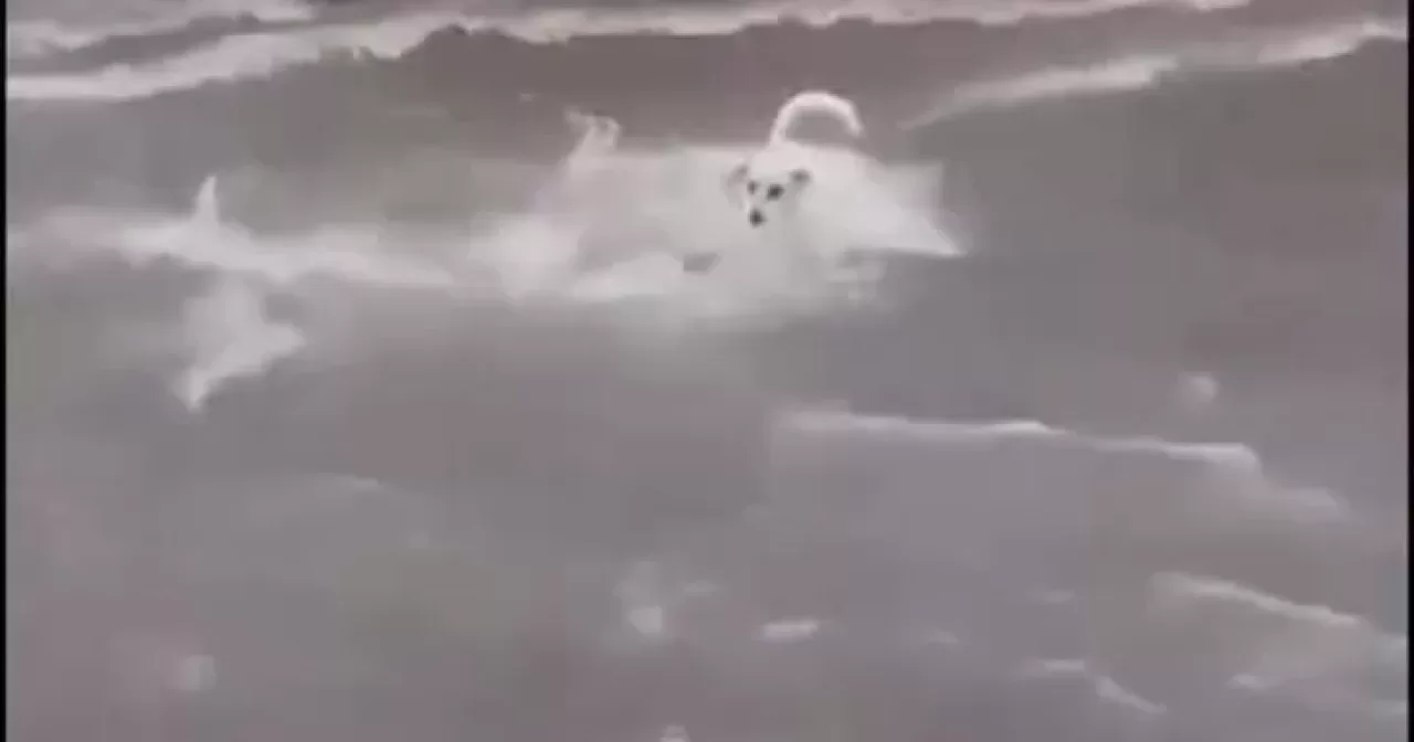 WhatsApp-Image-2026-03-03-at-11.23.16-aspect-ratio-40-21