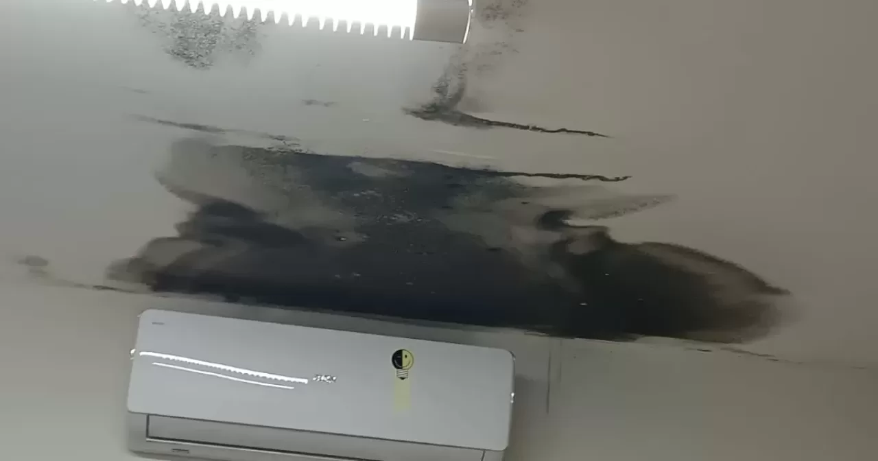 WhatsApp-Image-2026-04-15-at-15.42.35-aspect-ratio-40-21