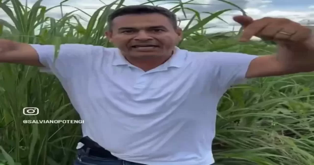 salviano alencar vt